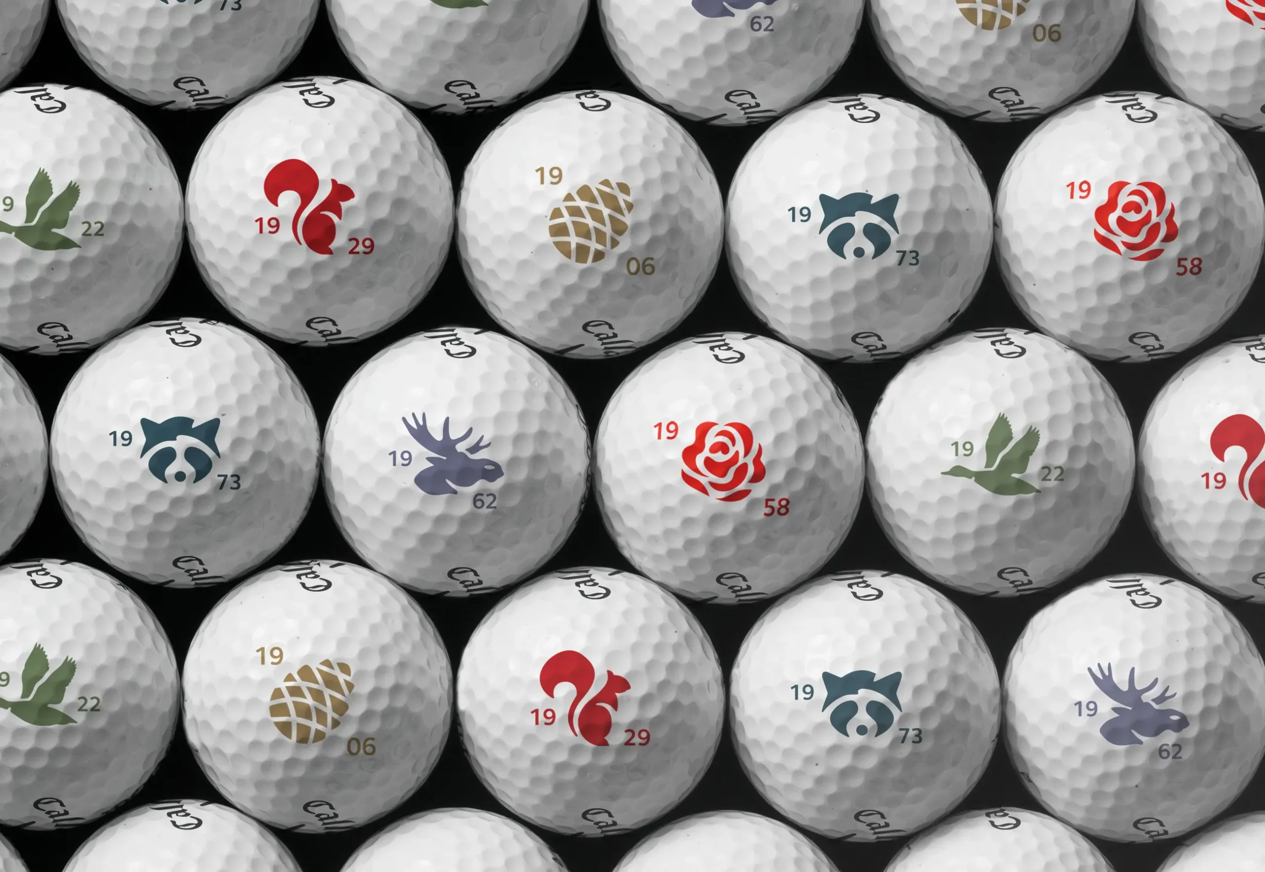 SLC Golf Balls